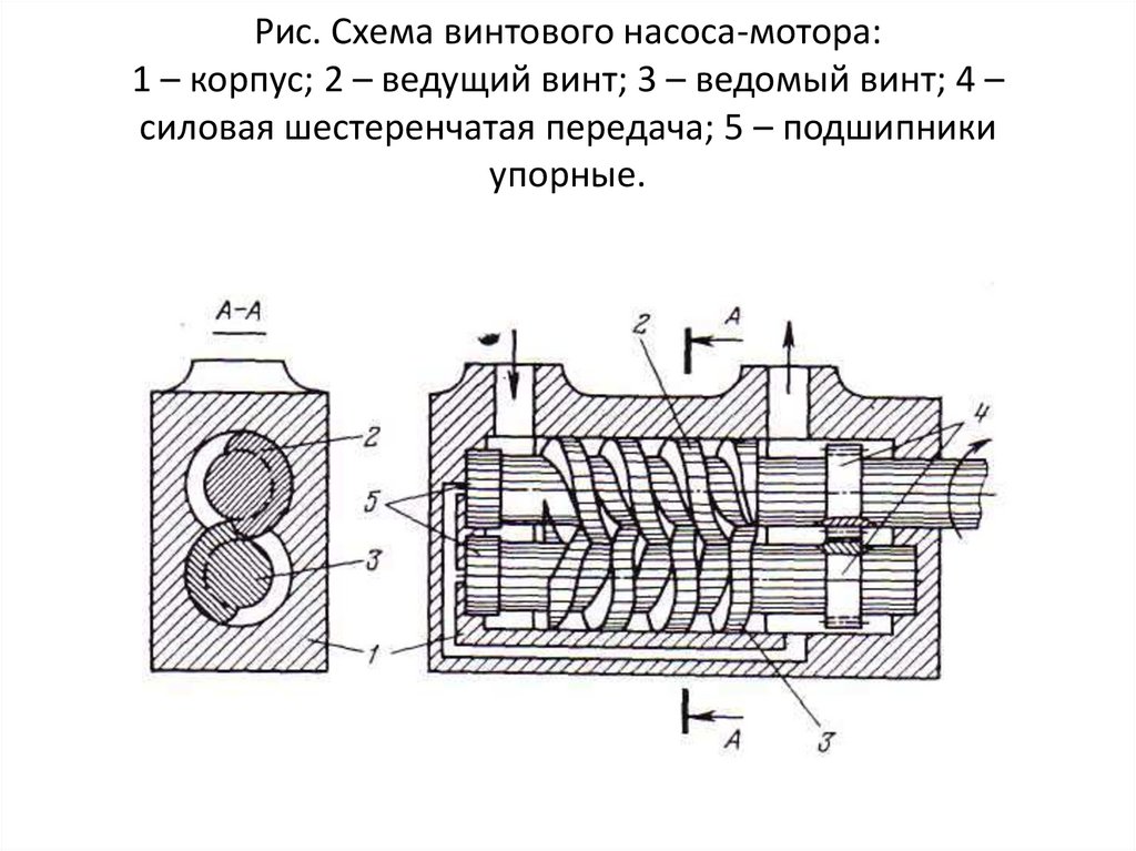 Рис. Схема винтового насоса-мотора: 1 – корпус; 2 – ведущий винт; 3 – ведомый винт; 4 – силовая шестеренчатая передача; 5 –