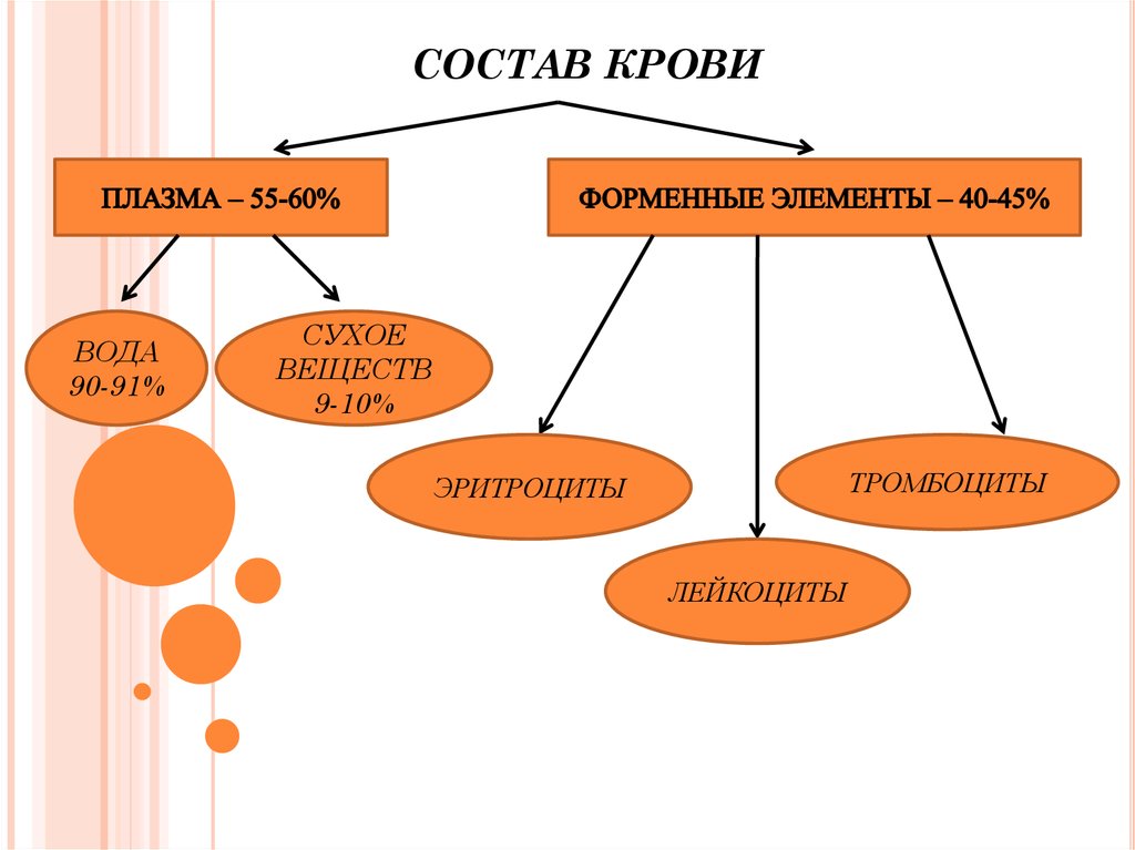 Схема состав крови 7 класс биология