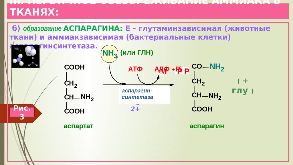 Временное обезвреживание аммиака виды