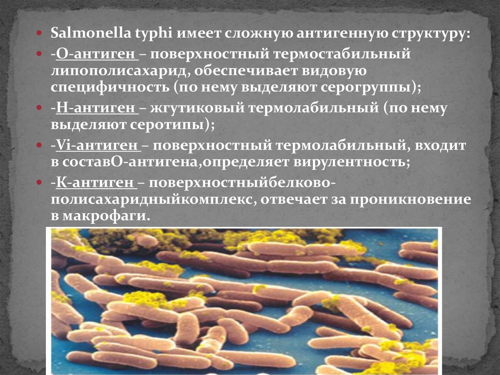 Сальмонеллез эпидемиология презентация