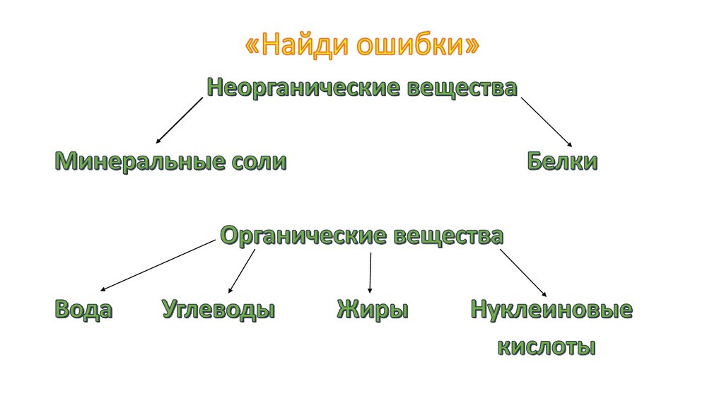 Структура живой природы