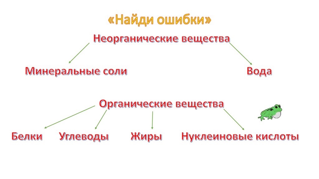 Обобщающий урок по биологии 6 класс презентация