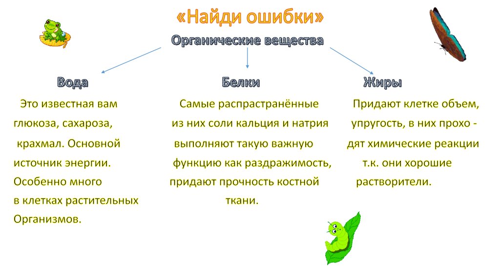 Ткани придающие прочность растениям. Формы обобщающего урока по биологии.