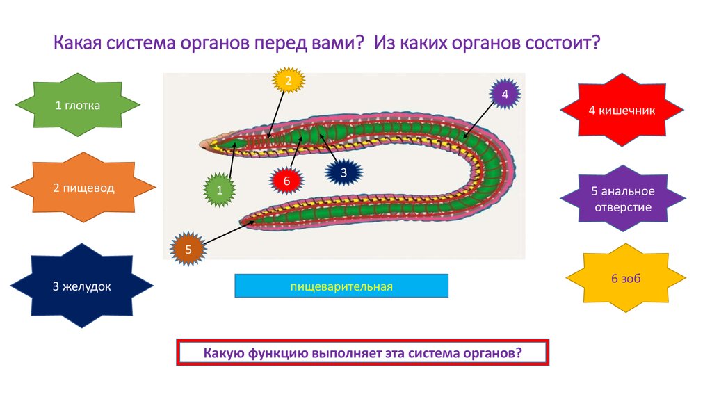 Какая система