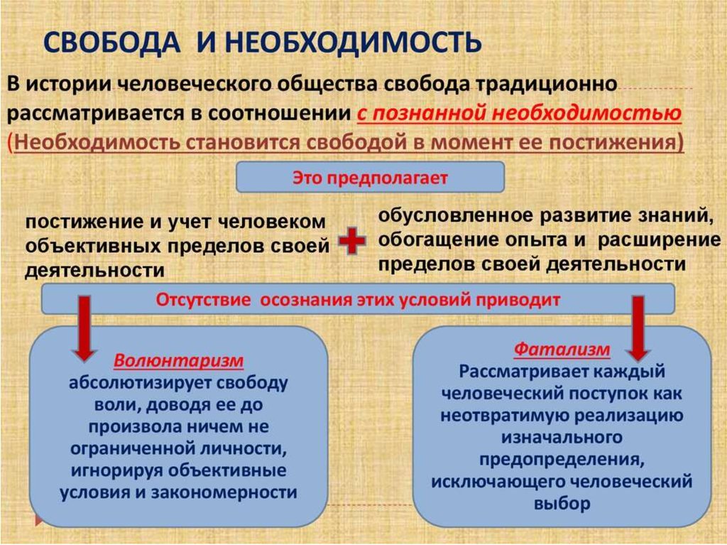 Сложный план свобода в человеческой деятельности