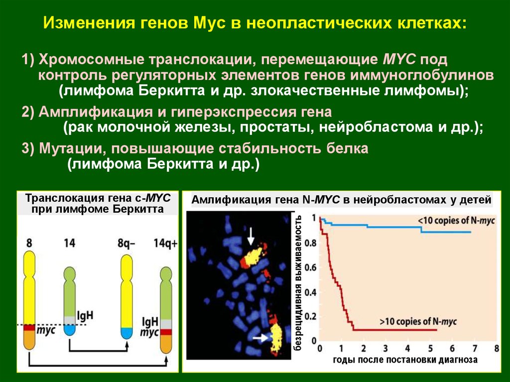 Неопластический процесс. Злокачественный неопластический процесс. Неопластические изменения. Неопластические клетки это. Свойства неопластических клеток патофизиология.