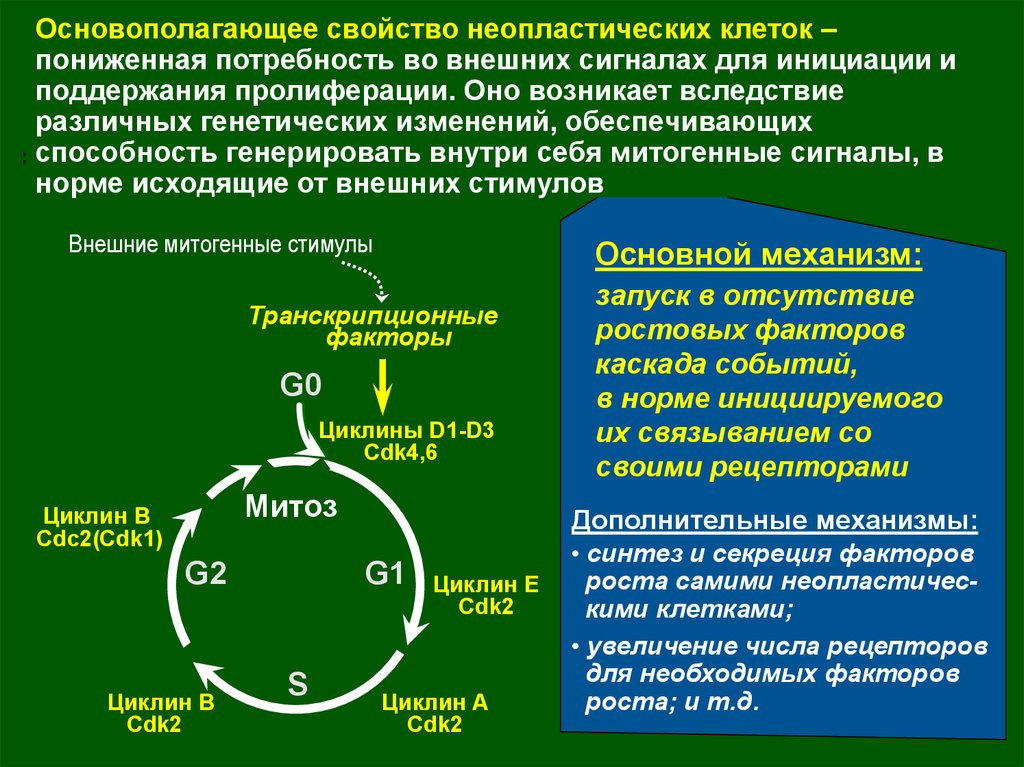 Неопластический процесс. Свойства неопластических клеток. Неопластические клетки это. Биология нормальной и опухолевой клеток. Регуляция роста опухолевой клетки.