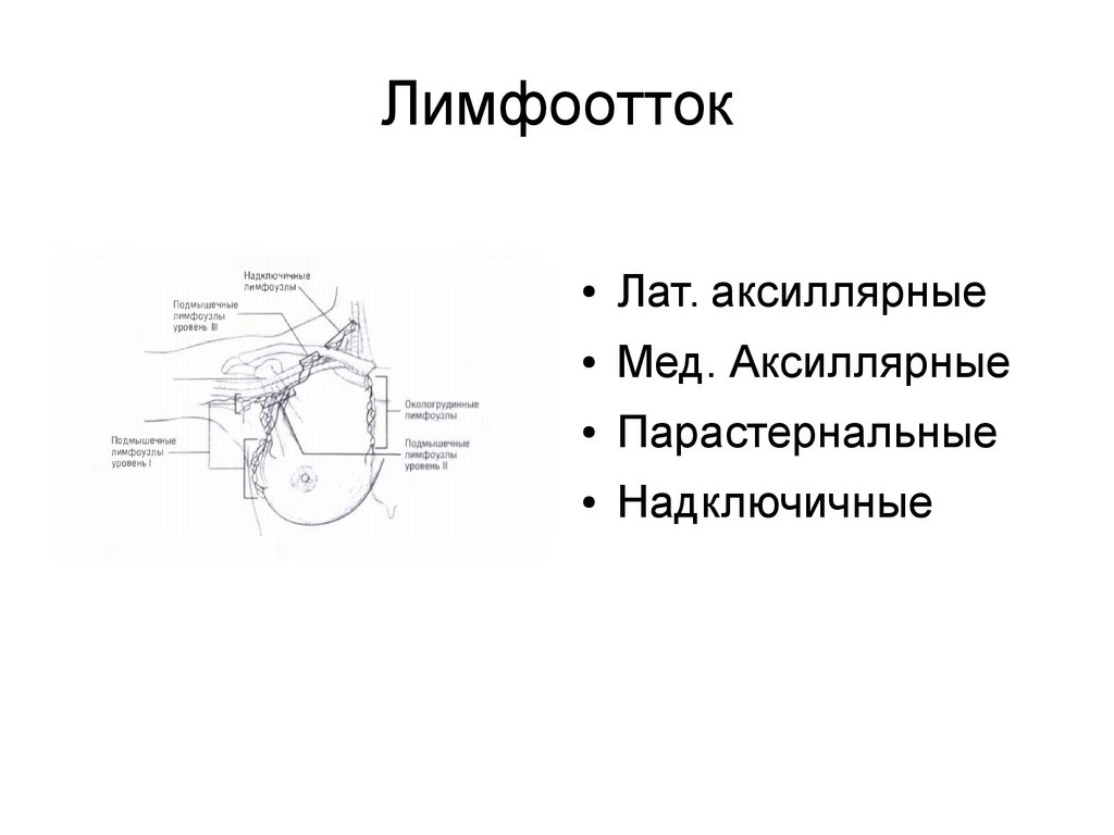 Лимфоотток молочной