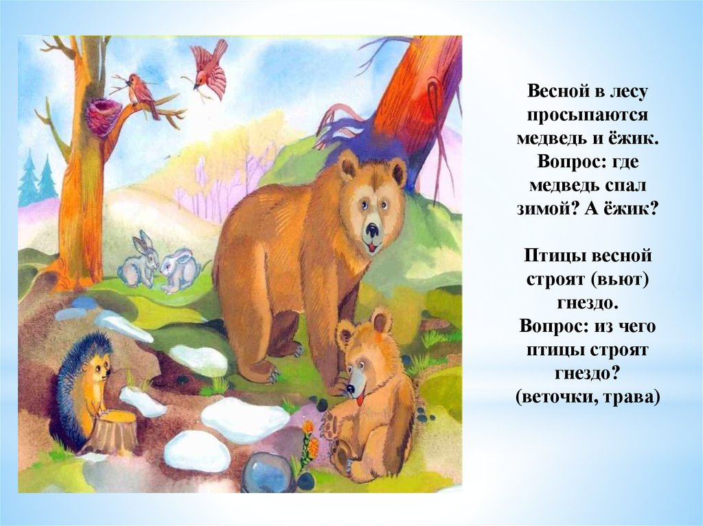 Сказка о жизни животных весной. Медведь просыпается весной. Медведь весной для детей. Медведь весной в лесу. Медведи весной для дошкольников.