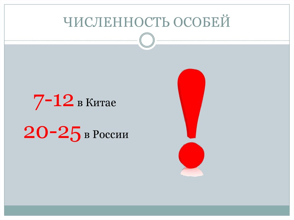 Численность особей. Карты численность особей.