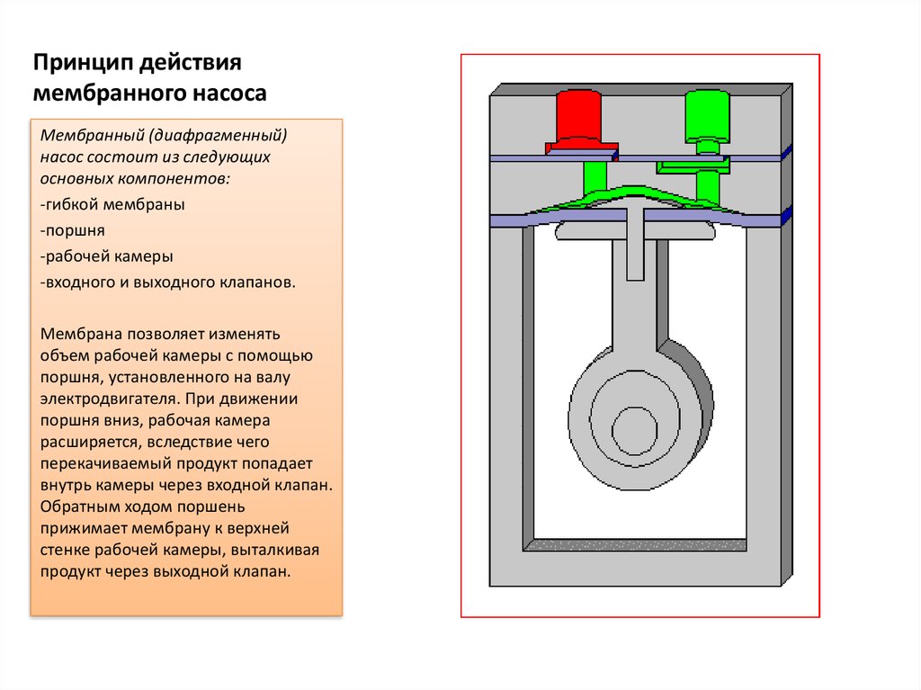 Принцип действия насоса. Мембранный насос принцип работы. Мембранные (диафрагменные) насосы принцип действия. Диафрагменный насос принцип действия. Принцип действия мембранного вакуумного насоса.