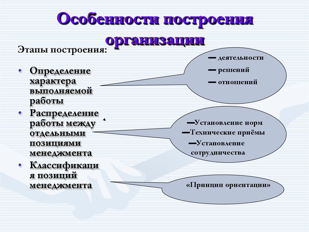 Построение организации