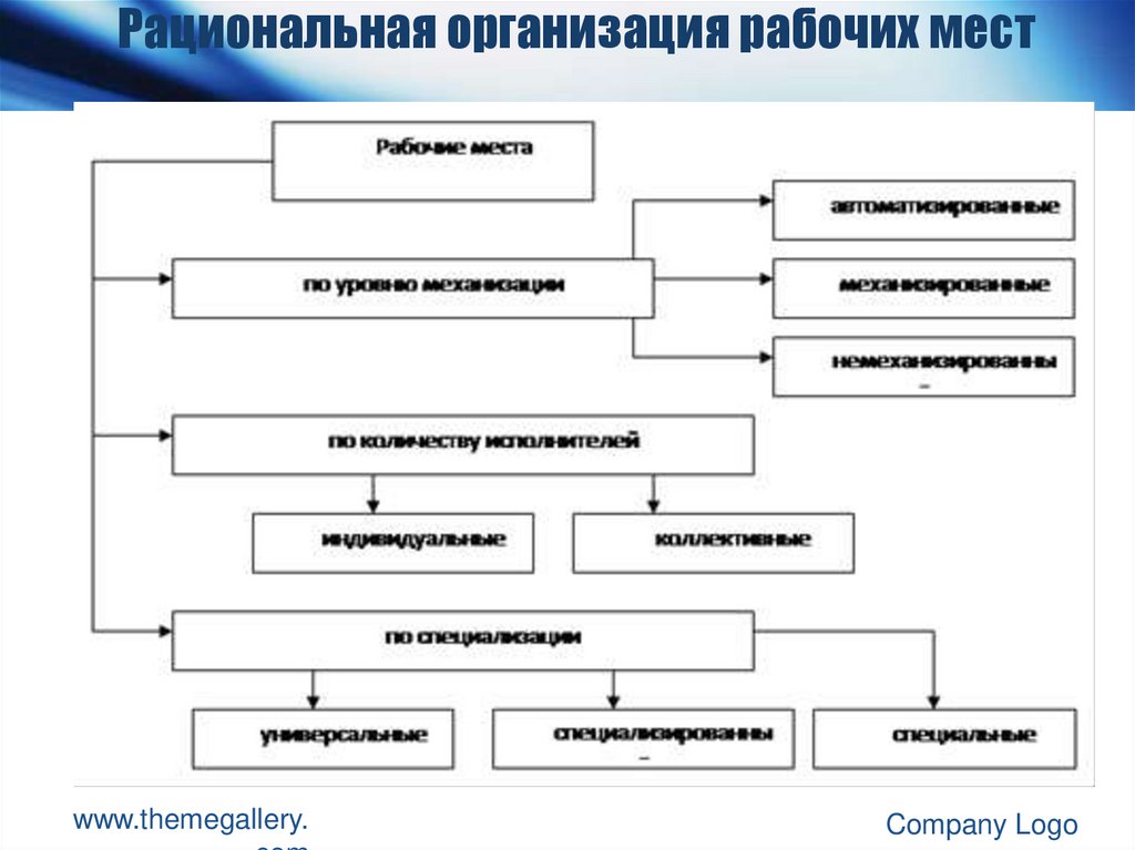 Рациональные организации представляют собой