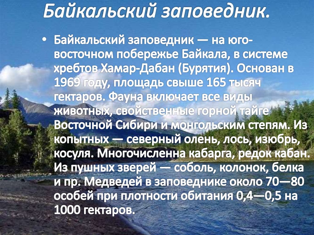 Байкальский заповедник.