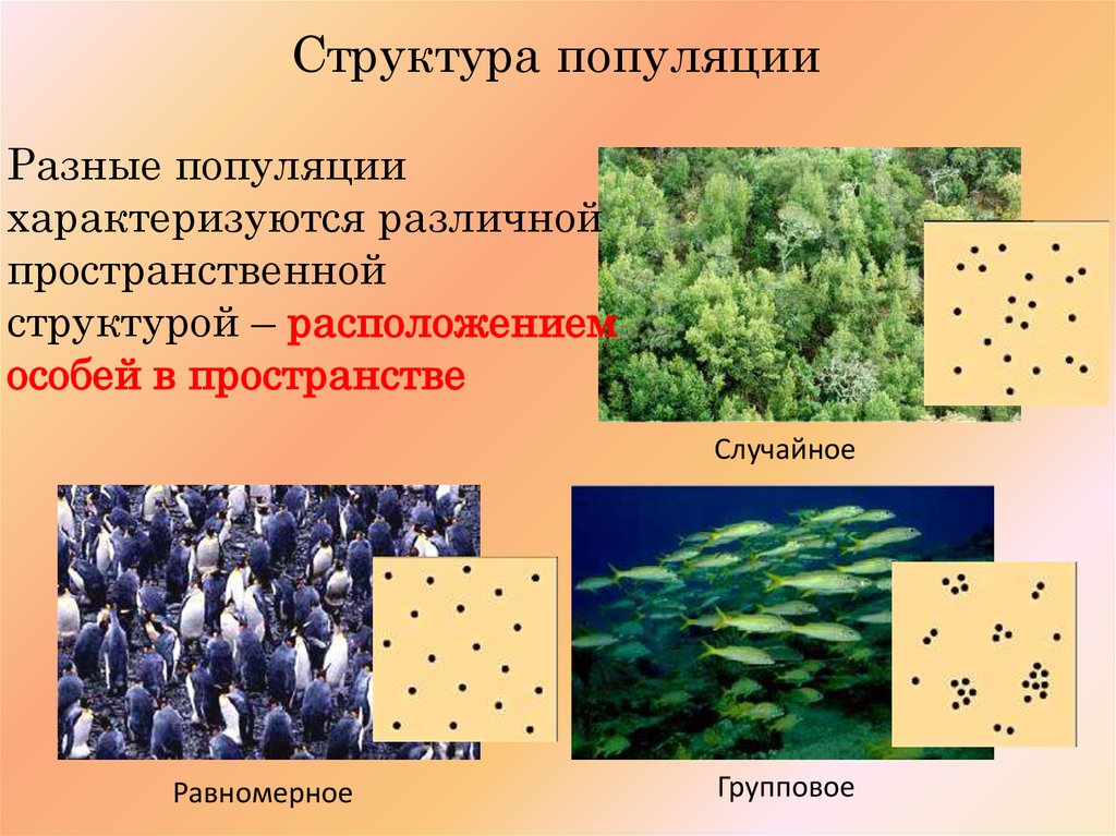 Вымирающая популяция схема