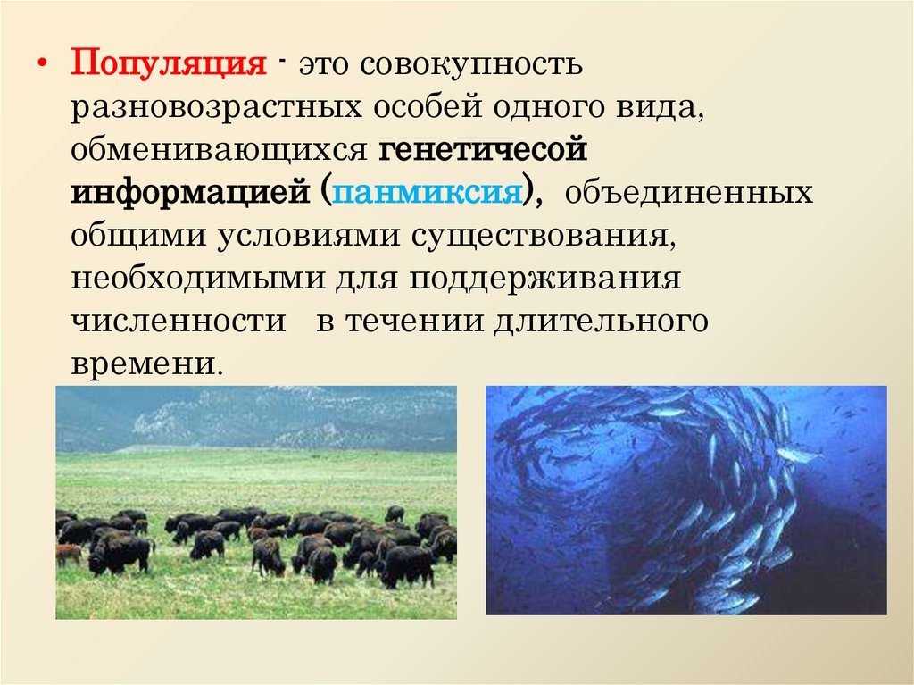 Термин популяция. Популяция это. Популяция это совокупность особей одного вида. Популяция презентация. Популяция людей.