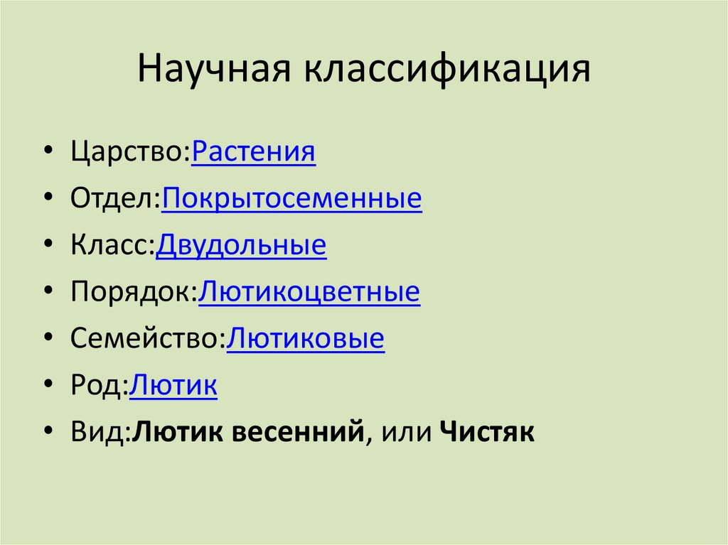 Научная классификация