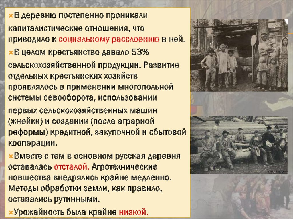 Экономическое и социальное развитие в середине 1950