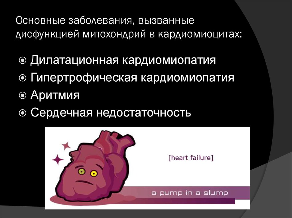 Основные заболевания, вызванные дисфункцией митохондрий в кардиомиоцитах: