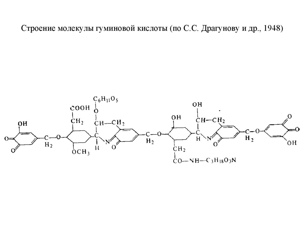 Строение молекулы гуминовой кислоты (по С.С. Драгунову и др., 1948)
