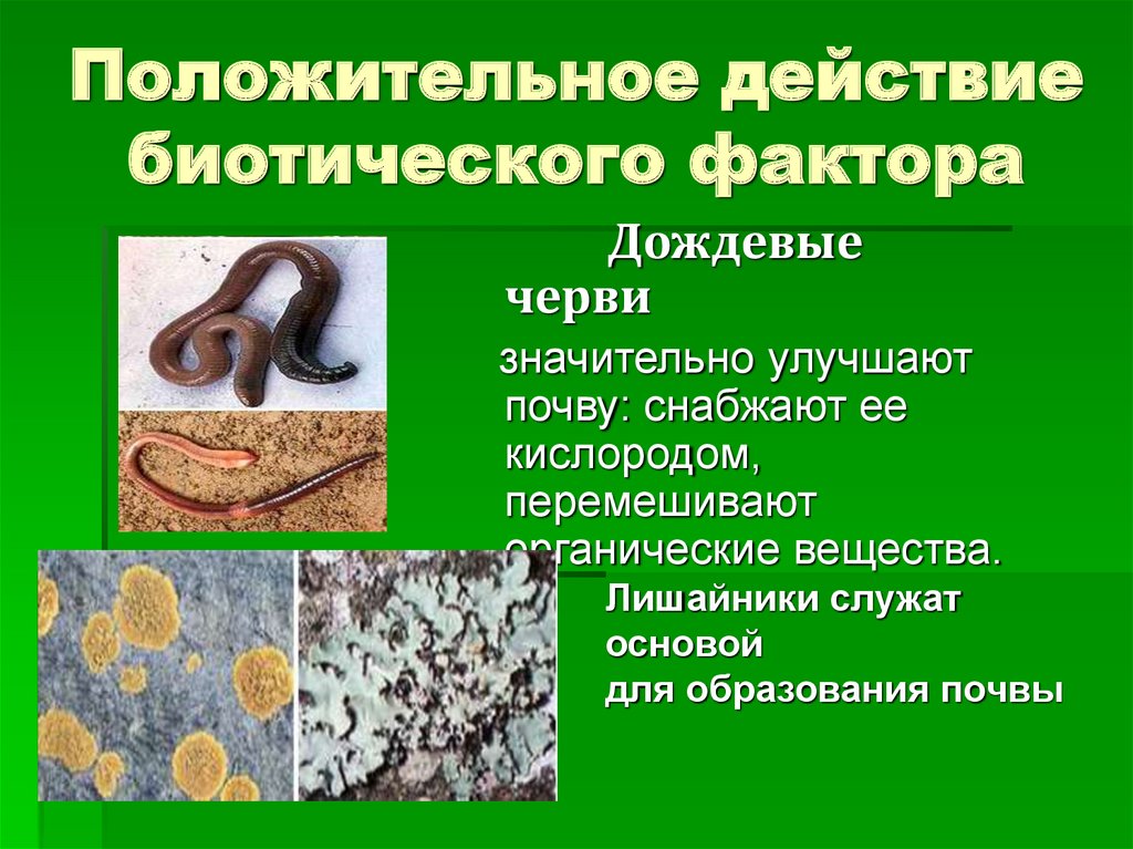 Презентация по биологии среды обитания организмов