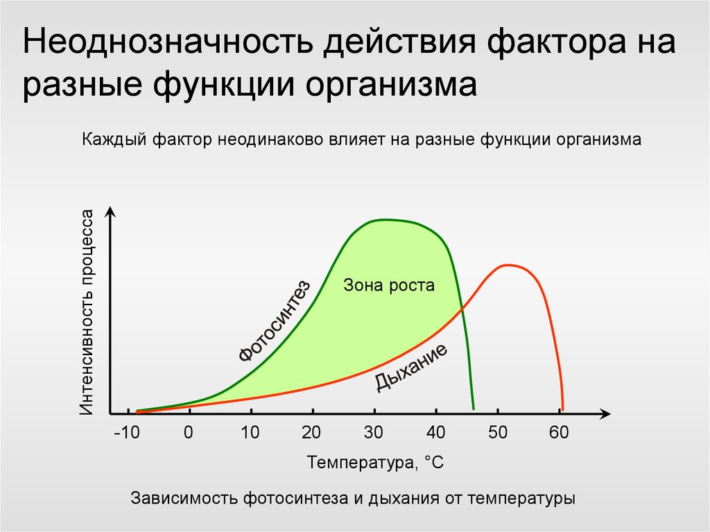 Интенсивность действия факторов среды