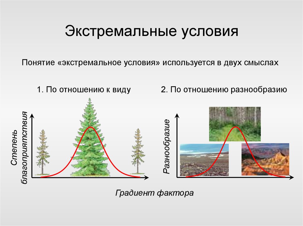 Виды условий жизни. Экстремальные условия. Понятие экстремальных условий.. Экстремальные условия для жизни человека. Экстремальные условия и их влияние на человека.