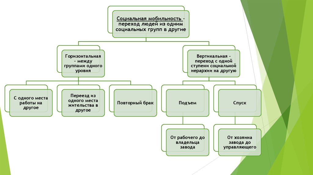 План стратификация общества егэ