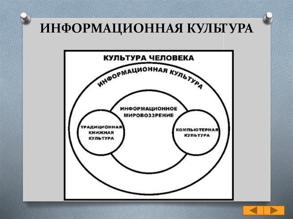 Информационные поисковые системы в человеческом обществе проект