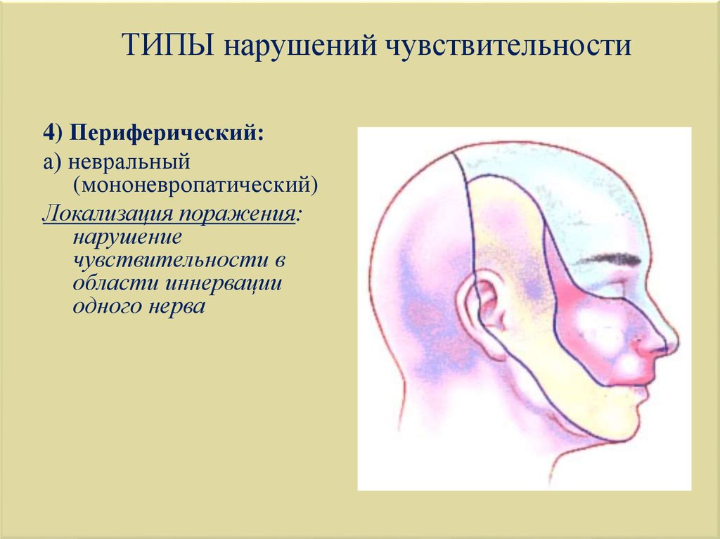 Вид нарушить. Типы расстройств чувствительности на лице. Типы нарушения чувствительности тройничного нерва. Нарушение иннервации тройничного нерва. Зоны Зельдера тройничного нерва.