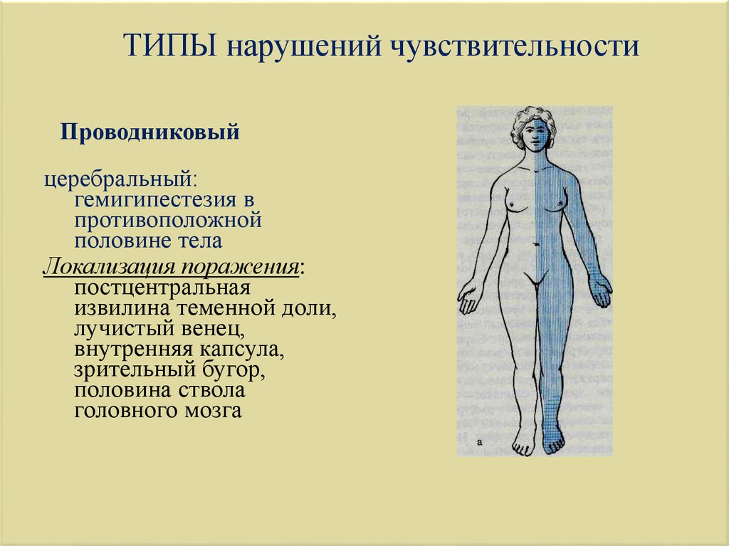 Нарушаемая вид. Корковый Тип нарушения чувствительности. Нарушение чувствительности при поражении зрительного бугра. Типы чувствительных нарушений церебральный. Проводниковый Тип расстройства чувствительности.