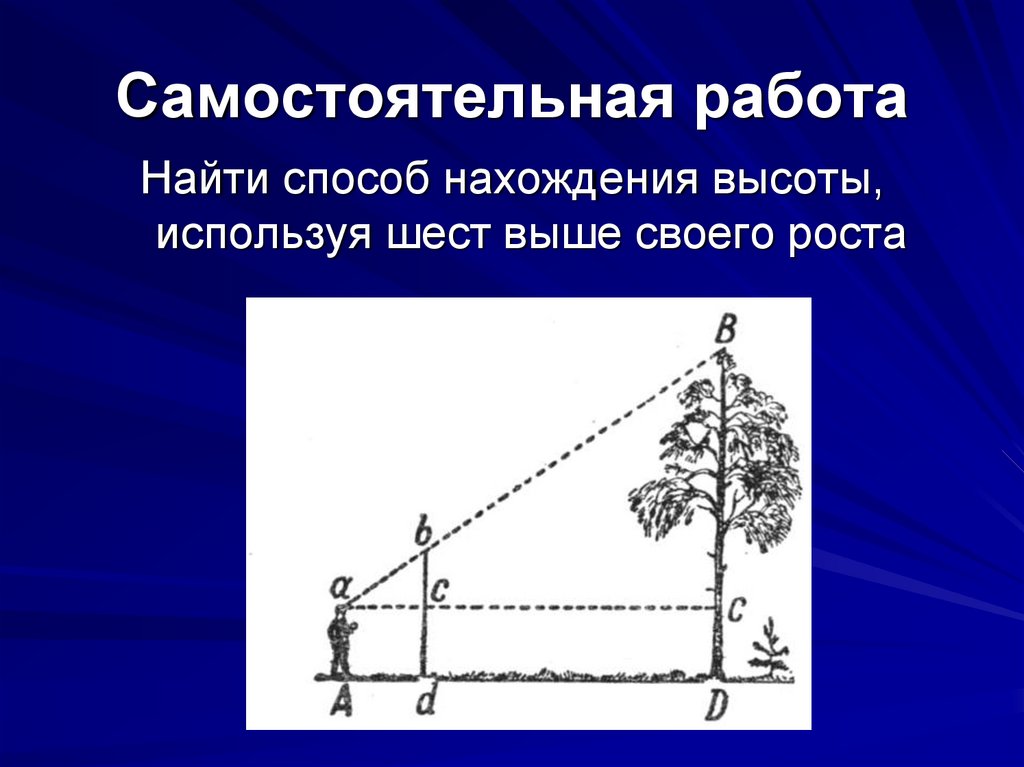 Как измерить высоту столба. Задачи на нахождение высоты предмета. Измерение высоты дерева. Нахождение высоты предмета с подобием. Измерение высоты дерева методом подобных треугольников.