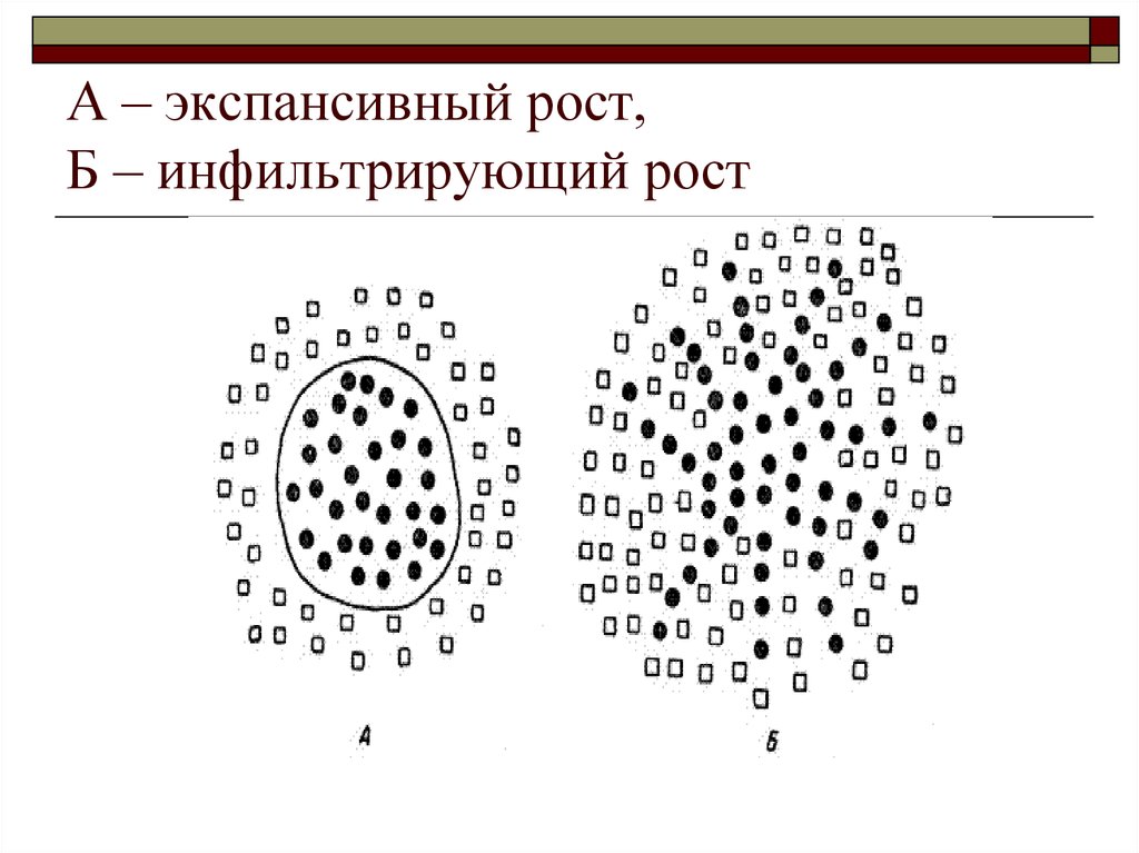 Экспансивный рост рисунок