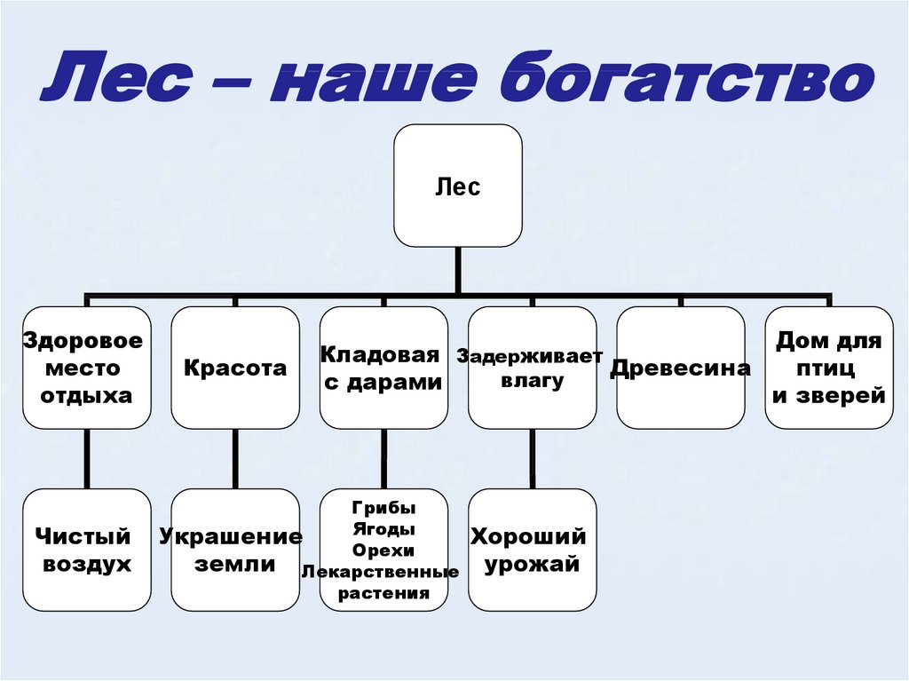 Проект лес наше богатство