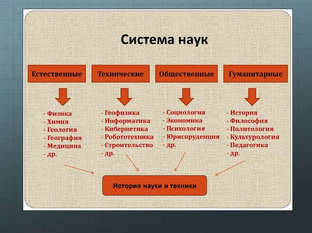 Естественные науки презентация