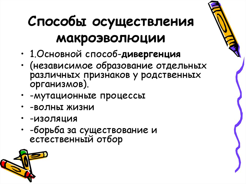 Биология 9 класс макроэволюция презентация 9 класс