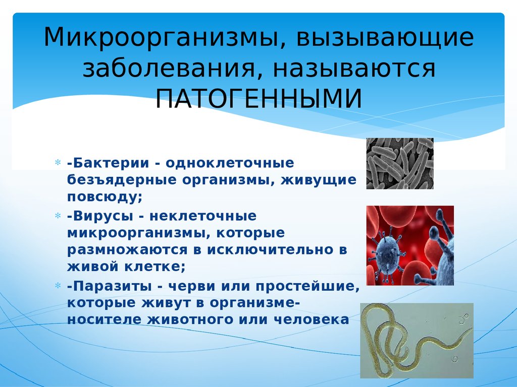 Микроорганизмы, вызывающие заболевания, называются ПАТОГЕННЫМИ