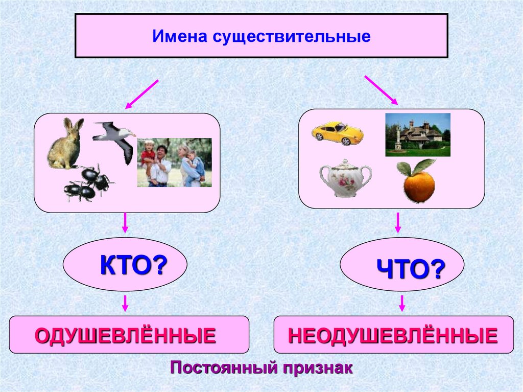 Что такое существительное 3 класс русский язык. Имя существительное. Имя существительное 5 класс. Существительное 5 класс презентация. Презентация на тему имя существительное 5 класс.