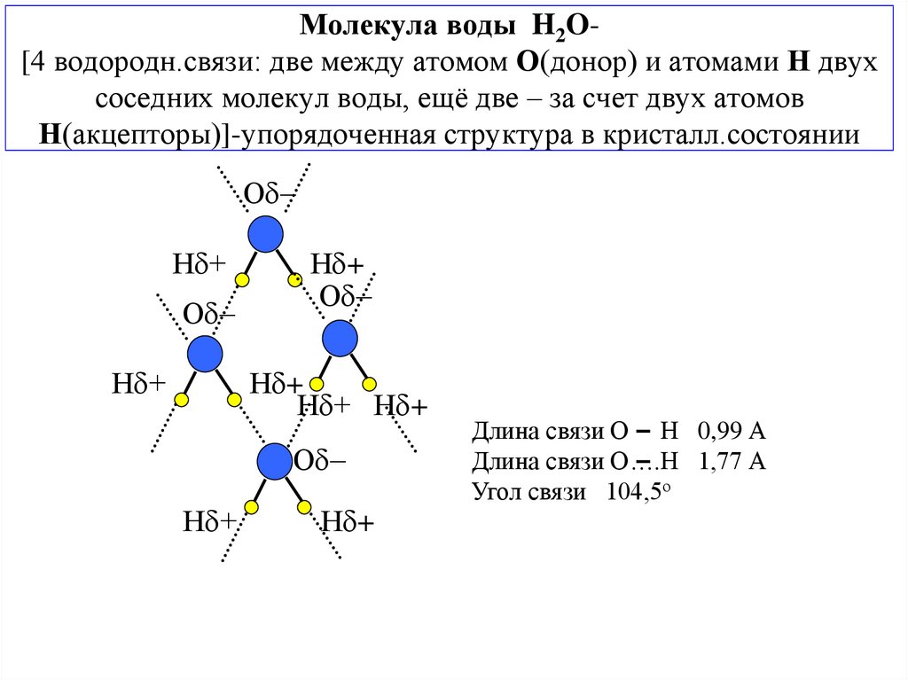 Молекула воды H2O- [4 водородн.связи: две между атомом О(донор) и атомами Н двух соседних молекул воды, ещё две – за счет двух