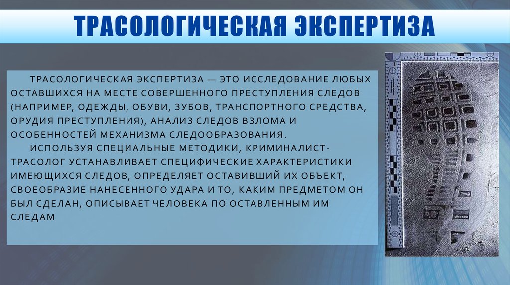 Криминалистическое исследование следов транспортных средств презентация