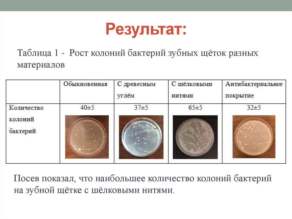 Составляют колонии. Таблица колонии микроорганизмов. Счета колоний бактерий. Рост колоний бактерий график. Численность бактерий в колонии.