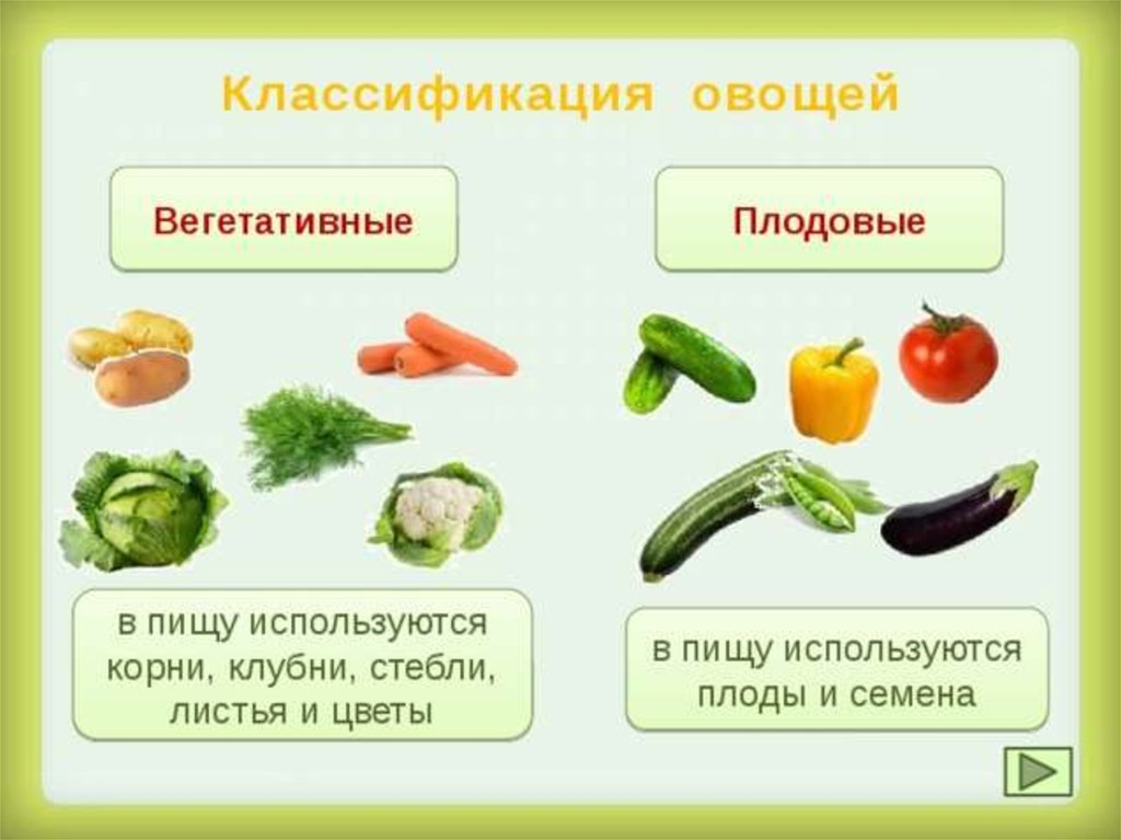 Что называют овощами. Овощи плодовая группа схема. Классификация овощей. Схема обработки корнеплодов.. Вегетативные и плодовые овощи. Классификация группы плодовых овощей.