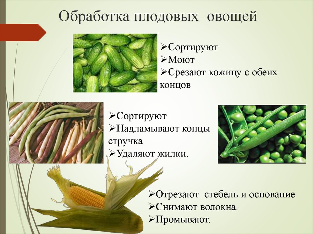 Схема механической обработки овощей