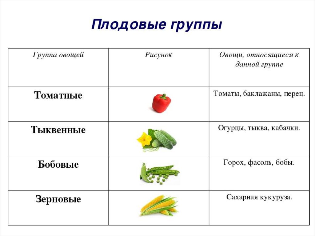 Список овощных растений. Схема классификации свежих овощей. Плодовые овощи классификация. Перечислите виды плодовых овощей. Классификация овощей. Схема обработки корнеплодов..