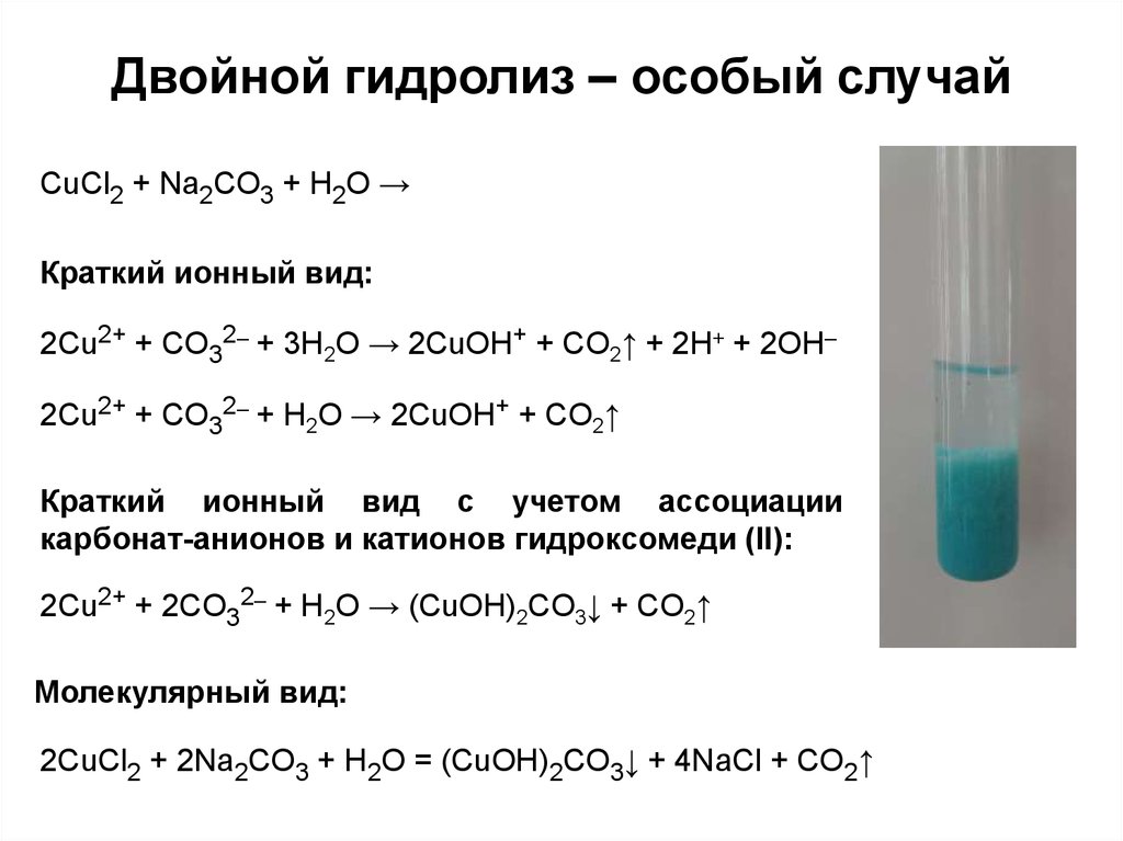 Значение гидролиза