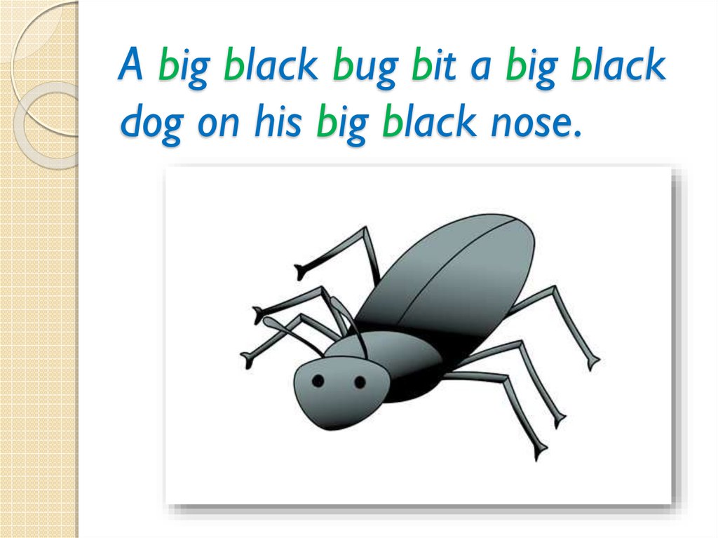 Alice has a big black dog перевод. Tongue Twisters a big Black Bug. A big Black Bug скороговорка. Big Black Bug bit a big Black Dog on his big Black nose. A big Black Bug bit.