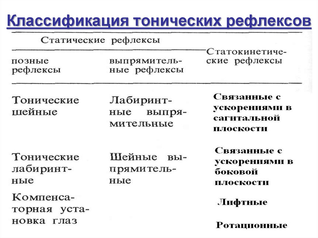 Классификация рефлексов схема