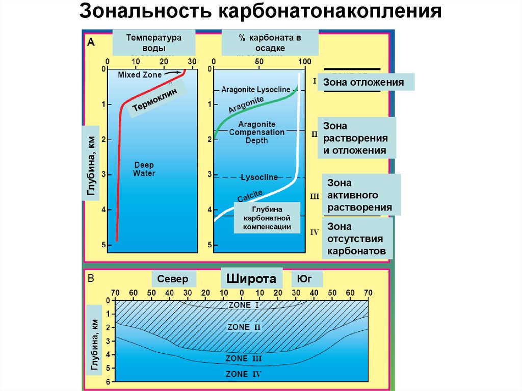 Зональность мирового океана. Критическая глубина КАРБОНАТОНАКОПЛЕНИЯ. Критическая глубина карбонатного осадконакопления. Зона карбонатного компенсации. Глубина карбонатной компенсации.