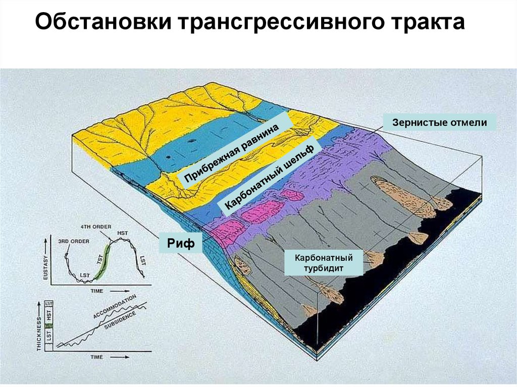 Поверхностные карты. Осадконакопление Геология. Процесс осадконакопления. Трансгрессивный системный тракт. Обстановки осадконакопления.