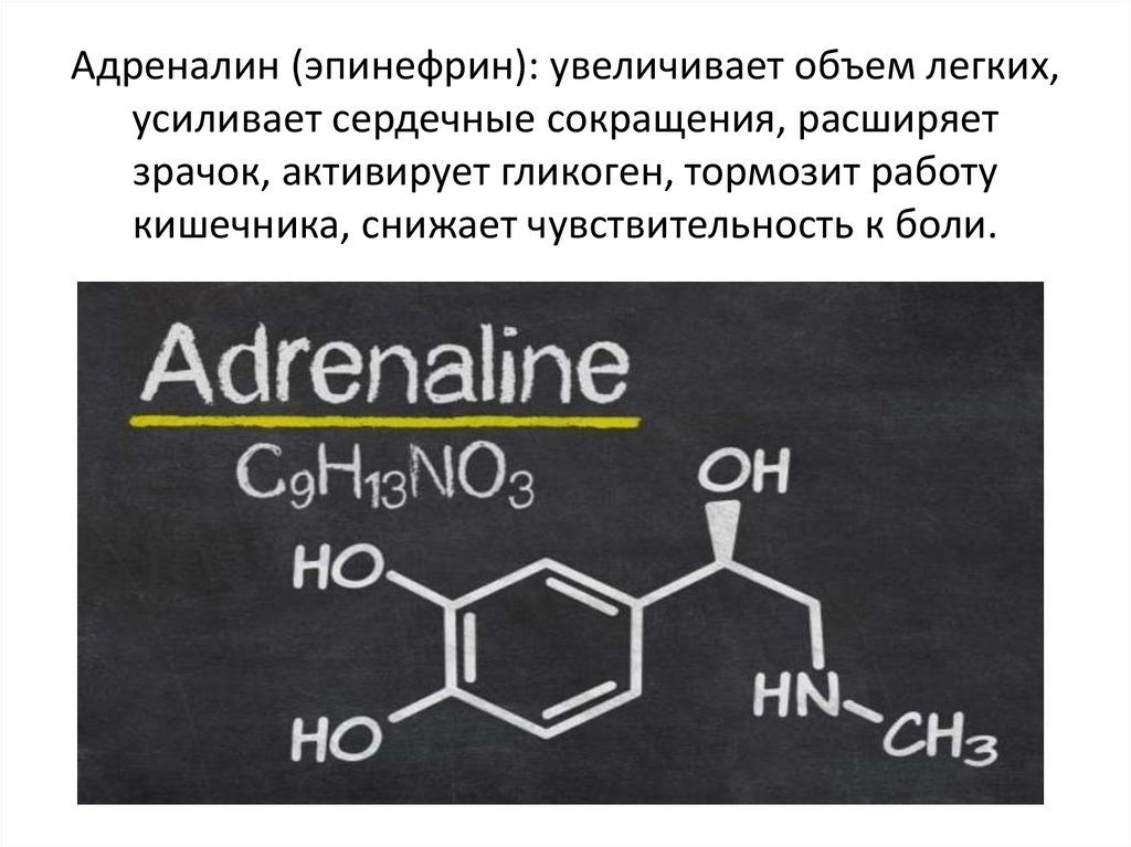 Адреналин (эпинефрин): увеличивает объем легких, усиливает сердечные сокращения, расширяет зрачок, активирует гликоген,